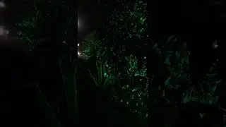 Язлар җитте.Тирә якта яшеллек...