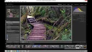 Copiar o Añadir al Importar en Lightroom 5