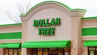 DOLLAR TREE HAUL
