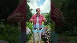Мама￼ меня подавляет #род #предки #потомки #мама #тяжелыеотношениясмамой #отношениясмамой