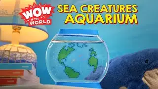 Wow in the World: Sea Creatures Aquarium