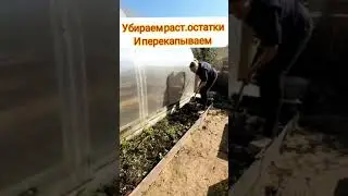 Готовим грядки к посадке чеснока