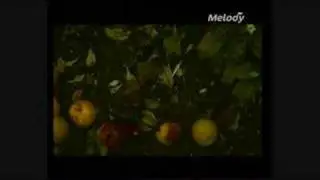Marc Lavoine Christina Marocco J'ai tout oublié