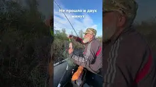 Щука. Не прошло и двух минут.