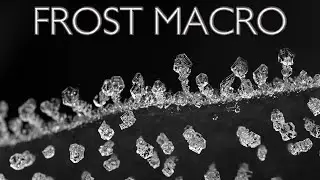 Frost Macro : Compilation of Abstract Shots - Canon R7 & Laowa 90mm Ultra Macro