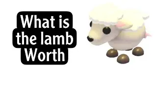 What is the lamb actually worth in adopt me
