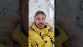 ЯЗВЕННЫЙ КОЛИТ: Как Избавиться от КАНДИДЫ в Кишечнике?
