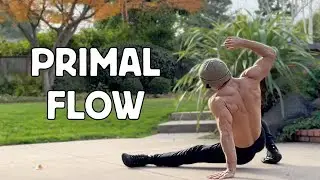 30 Minute Primal Flow | Complete Full Body Strength & Mobility