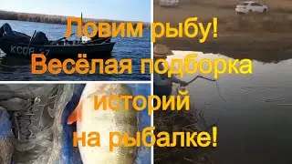 Ловим рыбу! Весёлая подборка историй на рыбалке!