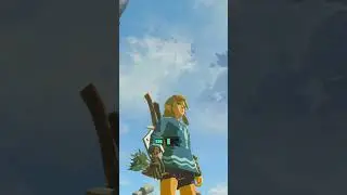 The Weirdest Glitch in TotK #shorts #Tears of the Kingdom #Glitches