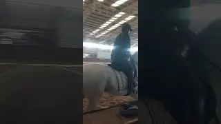 اقوى واجمل تدريبات الخيول 🔥🔥🔥
