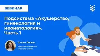 Подсистема «Акушерство, гинекология и неонатология». Часть 1
