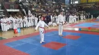 Kosolapov Ivan — Potiychuk Vladimir — Taekwondo — GTF/ITF — hyong/tul/pattern — 2016, may