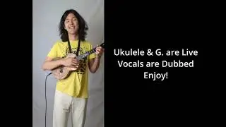 Cupid - Hawaiian 'Ukulele + Vintage Guitar