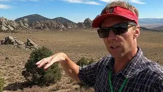 Geology of the southwestern edge of the Almo pluton at City of Rocks, southern Idaho