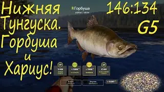 Ловля Горбуши и Хариуса на реке Нижняя Тунгуска! рр4