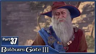 Baldurs Gate 3, Part 37 / Mountain Pass, Elminster Aumar, Shadow Cursed Lands, Shambling Mound Boss