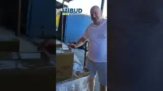 8 сентября 2024 г.