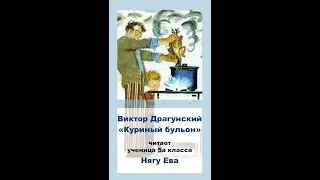 Куриный бульон Нягу