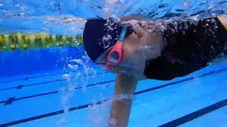 EVERYDAY WETNESDAY LIVE ANIMATION  How To Swim 50m Freestyle RUFINA