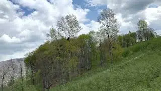 DOĞA