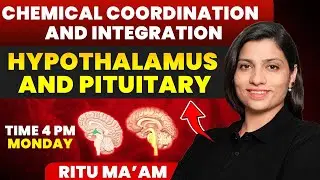 Hypothalamus and Pituitary | Chemical Coordination and Integration Detailed class | Ritu Rattewal