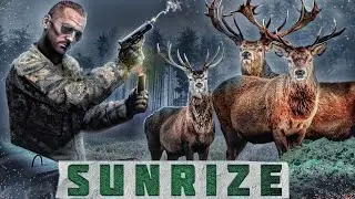 ИГРАЮ В DAYZ 1.22 СЕРВЕР SunriZe Deerisle ПВП ПОШЛИ СМОТРЕТЬ ЧТО ТАМ НОВОГО???