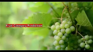 Fruit Category Prediction @ML Mini-Project @Logistic Regression