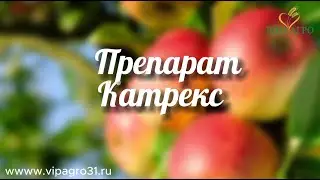Новый препарат Щелково Агрохим   Катрекс