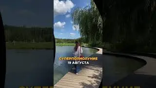 Полнолуние 