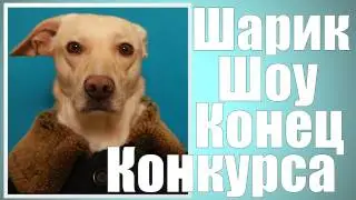 Шарик Шоу - Конец Конкурса (выпуск 31)