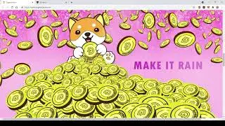 DOGETIBUTE-  No Future not Investable