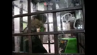 MINHEE 민희 '영원은 그렇듯' Cover