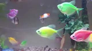 terimakasih atas luka