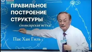 Правильное построение структуры Атоми. Существует ли спонсорская ветка?