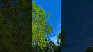 England Nature Tiktok atherisch