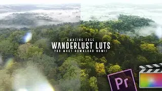 Cinematic Travel LUT for FREE || Adobe Premiere Pro, Final Cut Pro X, etc.