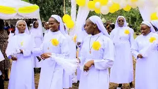 Sr. Mary Judy Jane (FSJ) celebrating her home thanksgiving mass of perpetual profession