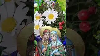 С днём Петра и Февронии!