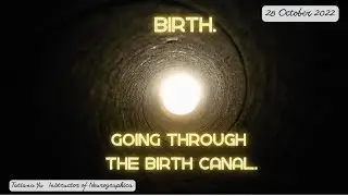 Neurographica class with Tatiana Yu  Part 2: Birth Of The New World - Going Through The Birth Canal