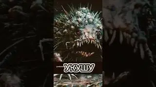 Ёжик #пук