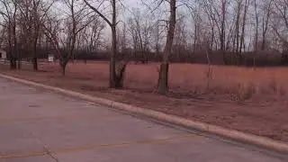Coyotes calling - Random old video found while cleaning up the NAS