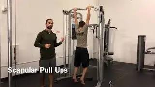 Scapular Pull Ups - Shoulder and Grip Strength