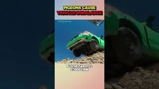Can A Bird Cause A Car To Lose Balance And Fall Off A Cliff? #shorts