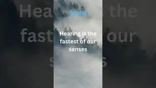 #14 Hearing is the fastest