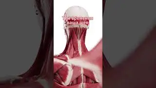 Как выглядит наша с вами шея 👍🔥 #остеопластика #метасоматика