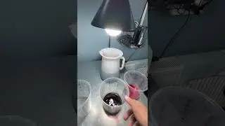 21 июня 2023 г.