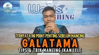 BE A GOOD GUY AT GALATAMA‼️TIPS & TRICKS FOR GALATAMA CATFISH. FIND THE KEY, FISHING IS NOW POSSIBLE