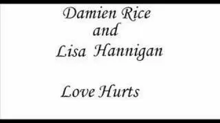 Love Hurts - Damien Rice & Lisa Hannigan