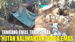 HUTAN KALIMANTAN SURGA EMAS || TRADITIONAL GOLD MINING